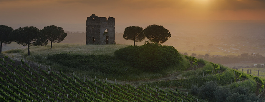 pallavicini_int