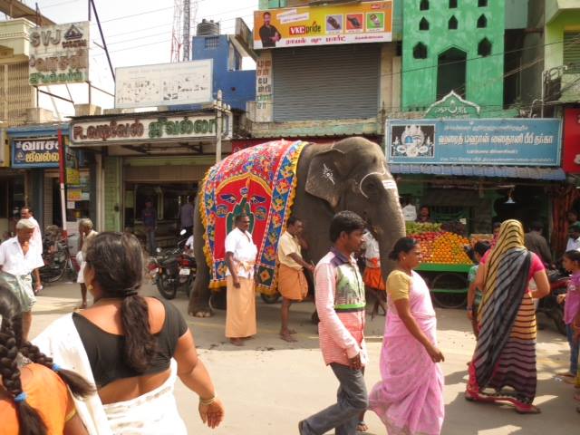 strada con persone e elefante 