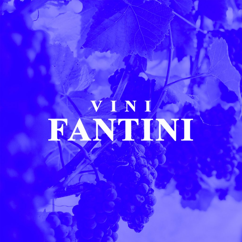Fantini Vini