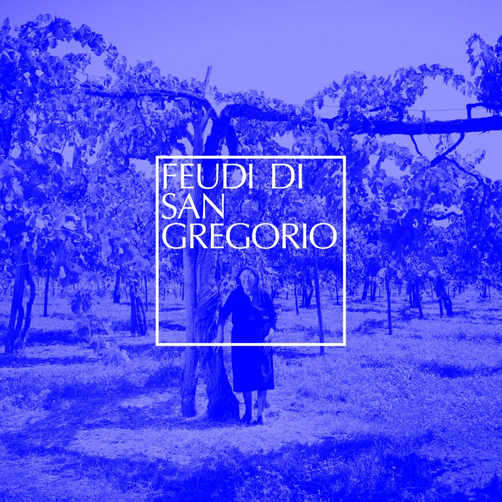Feudi San Gregorio