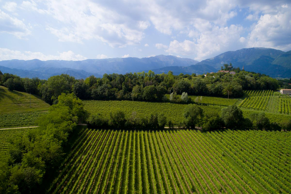 consorzio_prosecco_DOC