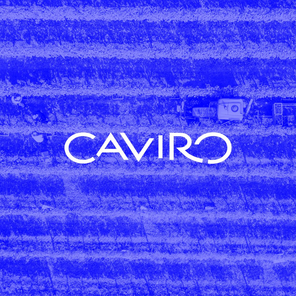 Case study Gruppo Caviro
