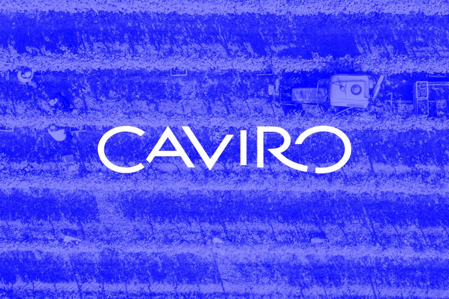Case study Gruppo Caviro