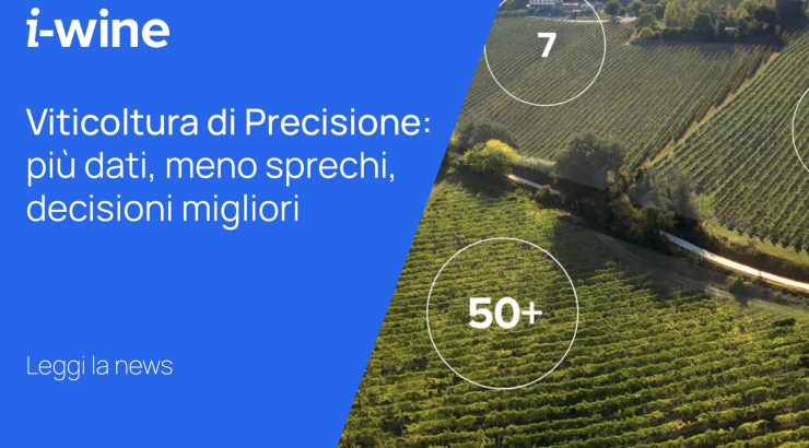 Viticoltura di Precisione: più dati, meno sprechi, decisioni migliori