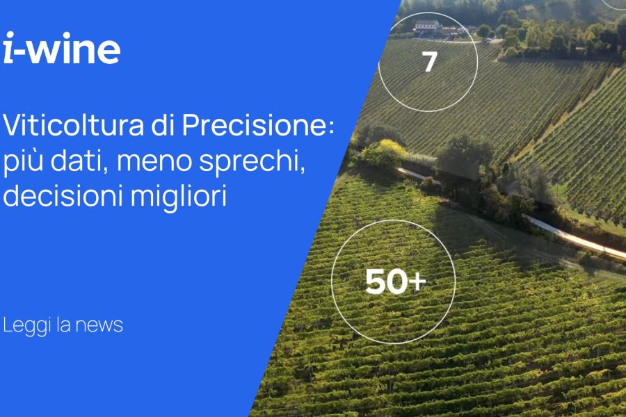 Viticoltura di Precisione: più dati, meno sprechi, decisioni migliori